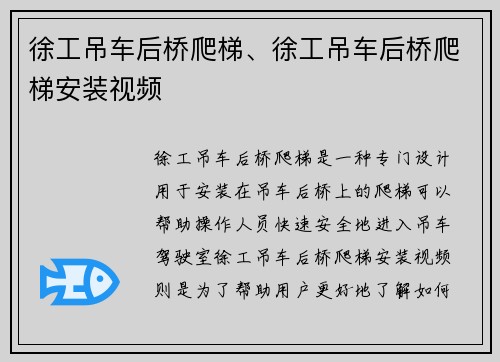 徐工吊车后桥爬梯、徐工吊车后桥爬梯安装视频